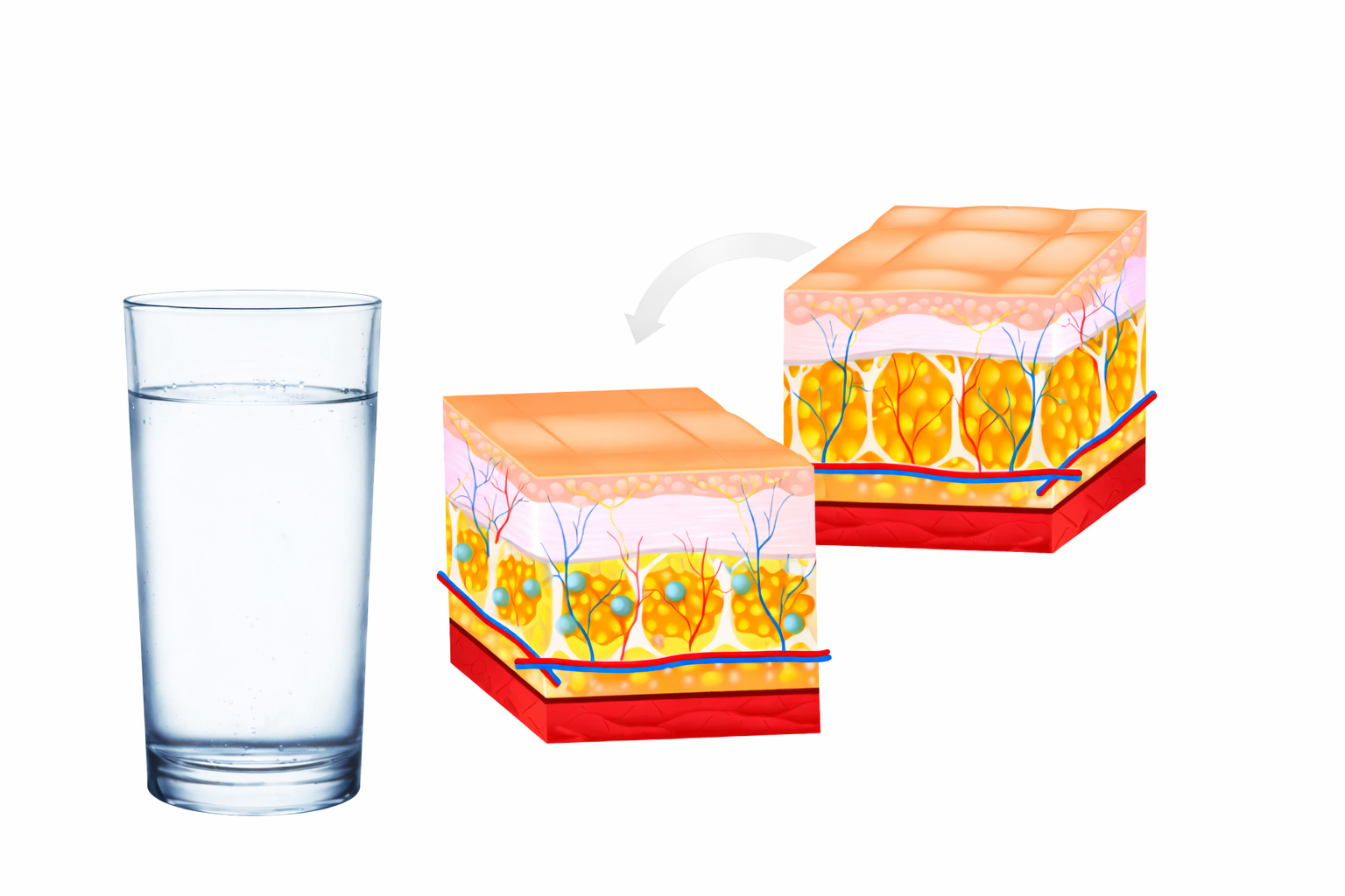 Cómo funciona Balancio